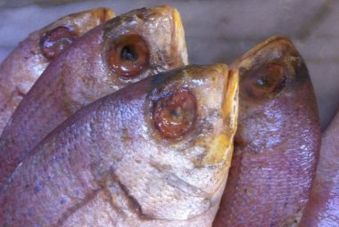 Pesce marcio, denunciato il titolare di una pescheria