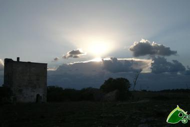 "Educare alla custodia del creato per sanare le ferite della terra"