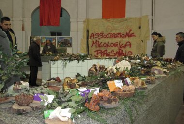 Grande interesse per i funghi in mostra nell'ex-mercato coperto