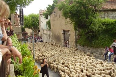 "Io sono la porta delle pecore"