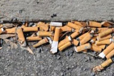 "Deiezioni dei cani e cicche infestano la città"