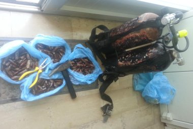 Arrestati due sub raccoglitori abituali di 'datteri di mare'
