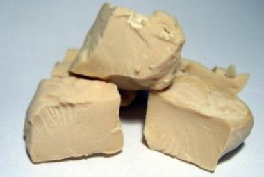 Il tumore 'unisce' lievito e uomo