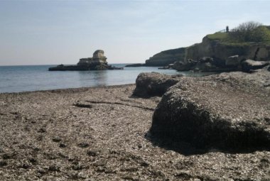 Compost dalla posidonia, autorizzato un impianto ad Arnesano