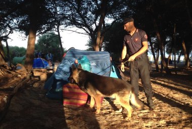 Marijuana nel campeggio abusivo, multe e denunce