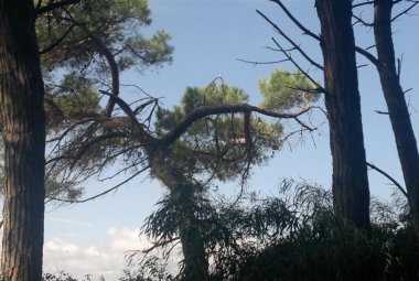 Il Club Alpino Italiano ad Andrano per insegnare a rilevare i sentieri del parco Otranto Tricase Santa Maria di Leuca