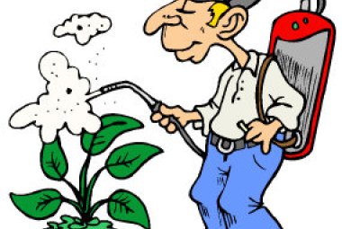 Al via un corso per la vendita di prodotti fitosanitari