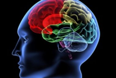 Scoperta la causa del parkinson giovanile