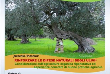 Le buone pratiche agricole si imparano ad Aradeo