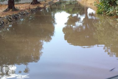 Alberi caduti ed allagamenti ma Galatina esce quasi indenne dal nubifragio