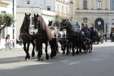 La 'Fiera di Santa Caterina d'Alessandria'
