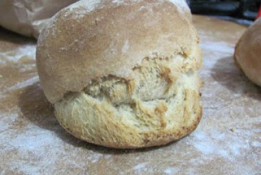 La puccia