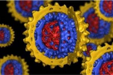 Nanoparticelle d’oro identificano e uccidono le cellule tumorali 