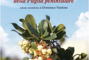 "Sapori e aromi da piante e frutti spontanei della Puglia peninsulare"