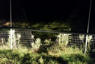 La Fidelpol riesce a sventare un furto di pannelli nel megacampo fotovoltaico di Noha