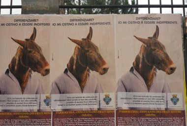 Quando ti diranno che sei asino, tu raglia