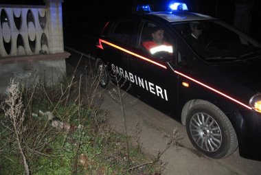 Punto contro camion per tentare di evitare un gatto