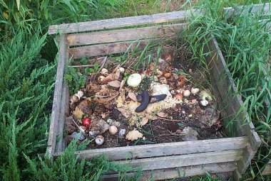Compostaggio domestico, riaperte le iscrizioni all'albo