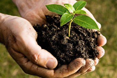Chi farà i corsi di compostaggio?