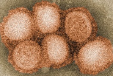 Settima vittima dell'influenza in provincia di Lecce