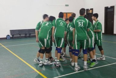 Giovani Showy Boys in piena attività