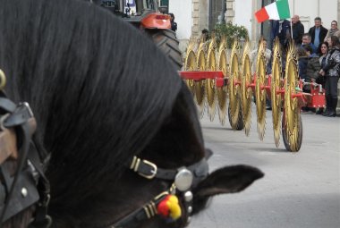 'I bisonti della terra', buona la terza