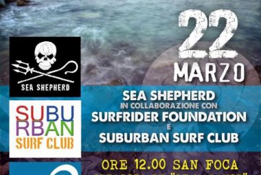 "Puliamo le spiagge del Salento"