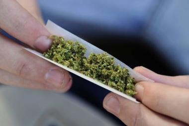 Aumentato il consumo di cannabis fra i giovani