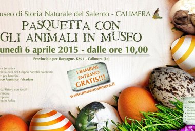Pasquetta al Museo degli animali