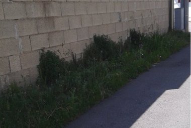 Erbe in via San Giovanni, la pulizia nei prossimi giorni