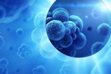 Cinquanta oncologi si confrontano a Lecce