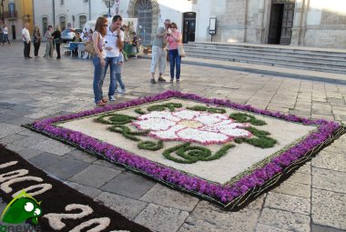 Torna 'Galatina in fiore', anche con ”I Fiori in Tavola” e un'estemporanea di pittura