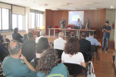 I cani randagi della provincia, un'indagine statistica