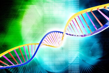 Primo screening molecolare delle leucemie plasmacellulari primarie