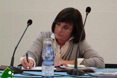 "Nessuna emeroteca è stata distrutta"