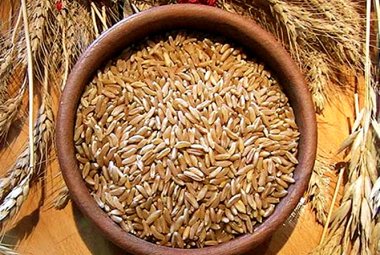 Grano monococco e il glutine diventa digeribile