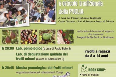 A Castiglione la mostra pomologica sui frutti di Puglia