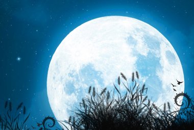L’amore del cielo per la luna