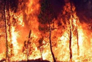 L'uomo alterò il clima già tremila anni fa