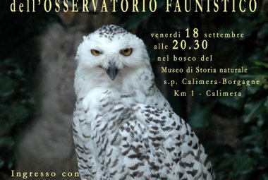 L'ultima cena al Museo di Storia Naturale