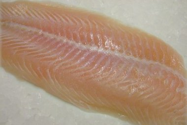 Il filetto di pesce probiotico