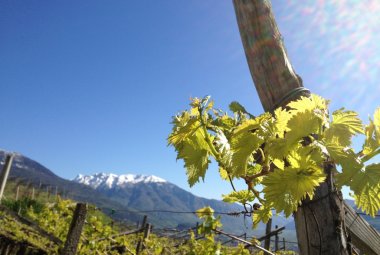 Tutto è possibile presso Dio