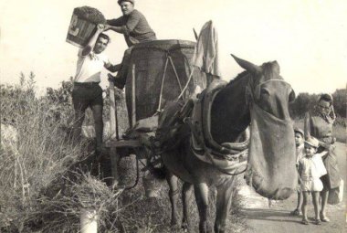 Paulucciu Spingulatisa, l'ultimo trainieri