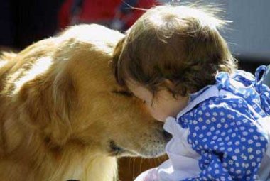 Nel 'nuovo' canile Pet-therapy e Zoantropologia
