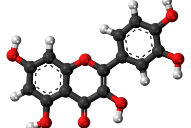 Molecole naturali contro il cancro
