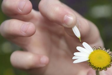 Un “non m’ama” senza ritorno