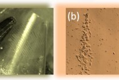 Il calore per elettrizzare pellicole che manipolano le cellule