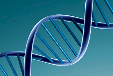 Identificato un nuovo gene che ripara il DNA