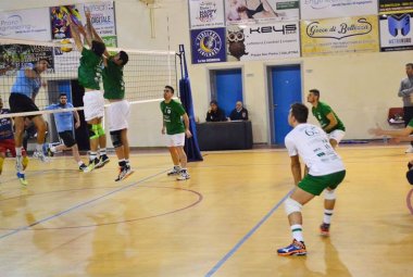 Serie D, Showy ai play-off