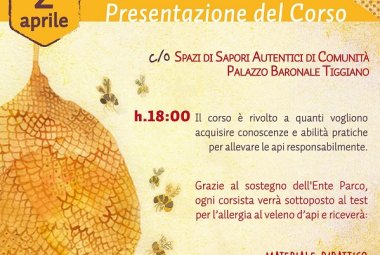 Vuoi diventare apicultore? Te lo insegna il Parco